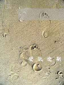 贷款逾期 被仲裁 贷款逾期 被仲裁